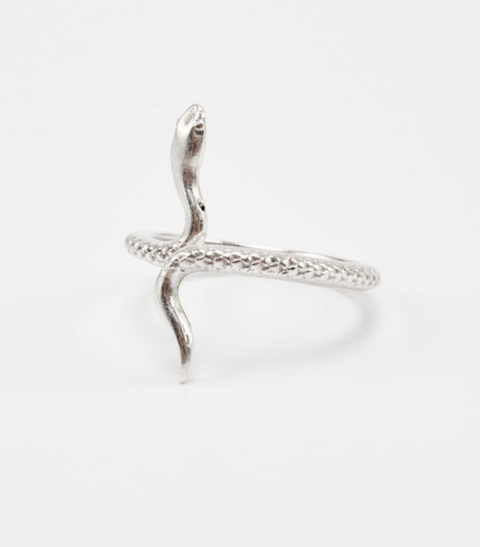 %cf%87%ce%b5%ce%b9%cf%81%ce%bf%cf%80%ce%bf%ce%b9%ce%b7%cf%84%ce%bf-%ce%b4%ce%b1%cf%87%cf%84%cf%85%ce%bb%ce%b9%ce%b4%ce%b9-snake